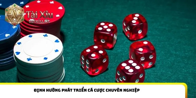 Định hướng phát triển cá cược chuyên nghiệp