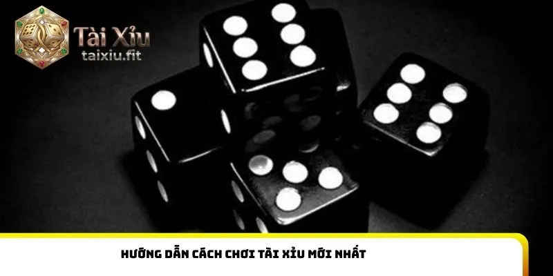Hướng dẫn cách chơi tài xỉu mới nhất 