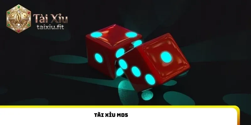 Tài xỉu MD5