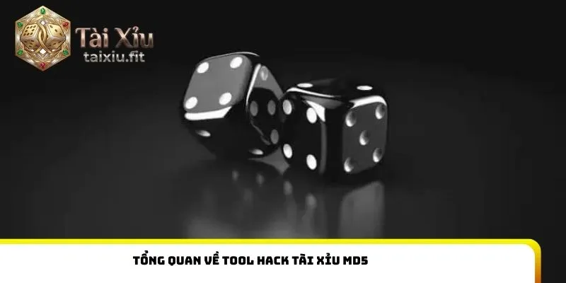 Tổng quan về tool hack tài xỉu md5